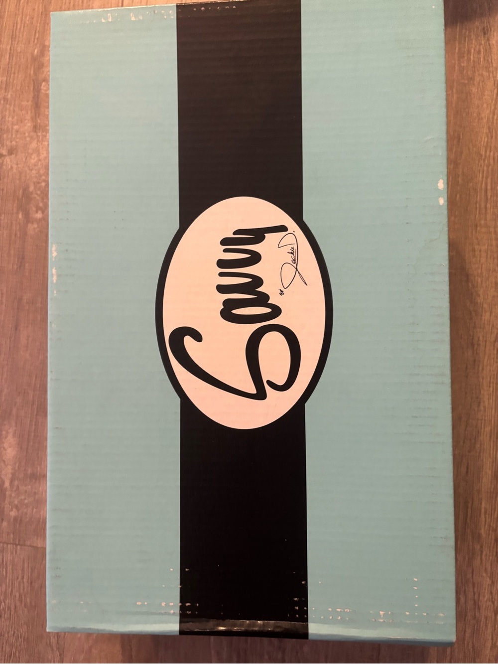 Sam Edelman Aqua and Black Logo Shoe Box